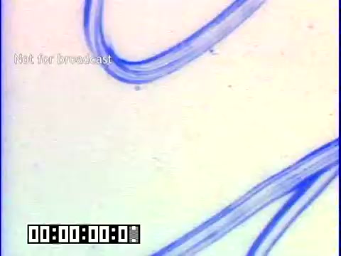 The still from 'Immigrant Heritage' features a close-up shot with abstract blue lines or curves on a light background. The image lacks specific details related to the content of the film, focusing instead on visual elements. The text 'Not for broadcast' indicates that it's intended for educational or private use.