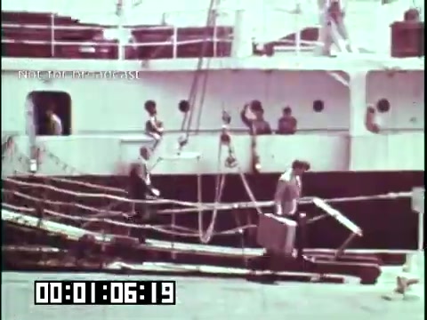 The still shows a bustling port scene from the educational film 'Immigrant Heritage' featuring the Irish Rovers. In the foreground, a couple of people are disembarking from a ship, carrying suitcases and navigating a gangway. In the background, additional figures can be seen on the ship and along the dock, capturing the activity of immigrants arriving at their new home. The image emphasizes themes of migration and heritage.