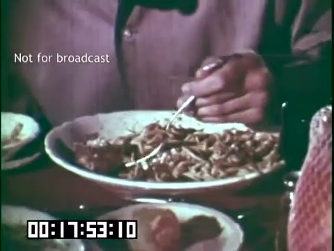 The still depicts a close-up of a person's hand holding a fork, poised over a plate of food that includes noodles or a similar dish. The setting conveys a communal or family meal, likely emphasizing cultural heritage linked to food. The timestamp at the bottom indicates the specific moment in the film, while a label states 'Not for broadcast.' This shot is part of the educational context of the film 'Immigrant Heritage,' which features the Irish Rovers and explores themes of culture and tradition.