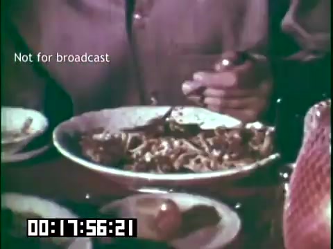 The still from 'Immigrant Heritage,' featuring the Irish Rovers, depicts a close-up of a dining scene. A hand is seen holding a fork, poised to eat from a plate filled with a hearty meal, suggesting a communal atmosphere. The setting appears warm and inviting, indicative of cultural dining traditions. The image is marked as 'Not for broadcast' and includes a timecode.
