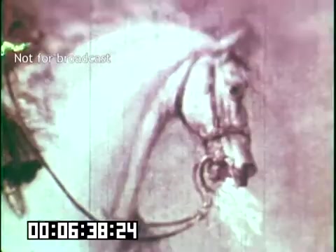 The still from 'Immigrant Heritage' features a close-up of a horse's head, showcasing its profile and details such as the bridle. The color palette appears muted, with shades of pink and gray, giving it a nostalgic feel typical of 16mm film. The overlay text indicates that it is not for broadcast, and a timestamp suggests the moment in the film. This segment likely reflects on the significance of horses in immigrant culture and heritage.