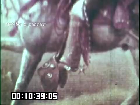 The still from the educational film 'Immigrant Heritage' featuring the Irish Rovers shows a close-up of a horse's legs and saddle. The image captures textured details of the horse's gear, emphasizing the theme of heritage and craftsmanship. The color and quality suggest a vintage aesthetic typical of 16mm film. The timestamp indicates it occurs approximately 10 minutes and 39 seconds into the film, and there's a watermark stating 'Not for broadcast.'