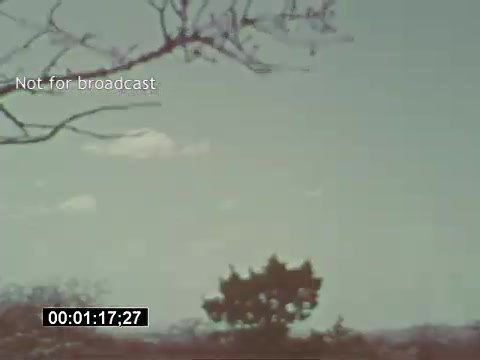 The still from 'USAF Helicopter Training footage - Bell UH-1 Huey' shows a distant landscape with a clear sky and sparse cloud coverage. Silhouetted against the horizon is a tree line, implying a training or military exercise setting. The image captures a moment likely focusing on the natural environment surrounding the helicopter operations. The frame includes a timecode indicator and a watermark indicating it is not for broadcast.