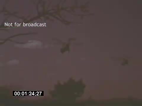 The still features a scene from USAF helicopter training footage, showcasing Bell UH-1 Huey helicopters flying against a twilight sky. The image captures two helicopters in the air, with silhouetted tree branches in the foreground. The overall tone is somewhat moody, emphasizing the operational aspect of the helicopters during training exercises. The watermark indicates that the footage is not for broadcast.
