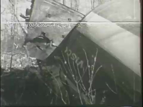 The still depicts the wreckage of an aircraft, partially obscured by vegetation. The damaged fuselage shows signs of significant destruction, with debris strewn around. The scene appears somber, capturing the aftermath of a plane crash in a forested area. It conveys a sense of urgency and tragedy associated with aviation incidents.