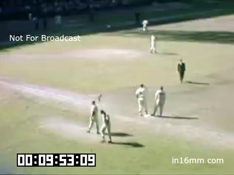 The still depicts a scene from a Detroit Tigers game at Briggs Stadium between 1948 and 1950. Players are visible on the field, wearing classic baseball uniforms, while an umpire stands nearby. The stadium looks lively, with spectators visible in the background. The image captures the essence of mid-20th-century baseball, showcasing the game's atmosphere during that period. The footage is identified as Kodachrome, known for its vibrant color quality.