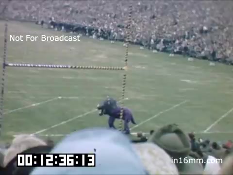The 16mm still captures a scene from a University of Michigan Wolverines football game, likely from the late 1940s to early 1950s. In the foreground, a costumed figure, possibly a mascot, is positioned on the field. The background features a large crowd of spectators in the stands, suggesting a lively game atmosphere. The image emphasizes the excitement and tradition of collegiate football.