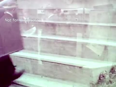 The still from 'IBM - The Information Center (1963)' shows a blurred view of a person walking up a set of stairs, likely in an educational or institutional setting. The scene captures the transitional era of technology, with a focus on IBM's computing advancements for managing educational data like grades and course enrollment. The overall ambiance suggests a modernizing environment where technology intersects with everyday tasks.