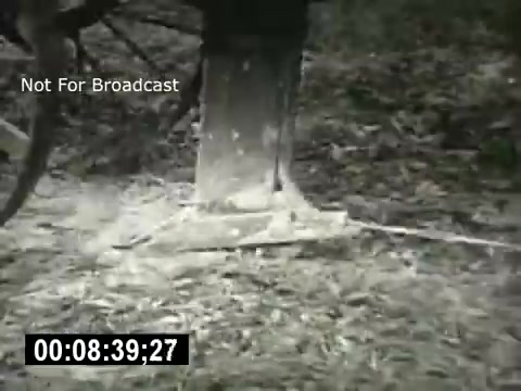 The still from 'Bell System - Story Without End' depicts a close-up of a wooden post or pole, likely related to telecommunications infrastructure. The ground around the base appears disturbed, possibly indicating installation or maintenance work. The overall tone is documentary in nature, focusing on the physical elements of the Bell System's operations. The timestamp suggests a moment in a broader narrative about communication technology.