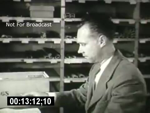 The still features a man seated at a desk, focused on his work with items spread out in front of him. Behind him, shelves filled with various materials can be seen, suggesting a professional environment. The scene conveys a sense of diligence and purpose, typical of the historical context of Bell System's operational themes. The timestamp indicates that this moment occurs approximately 13 minutes into the film.