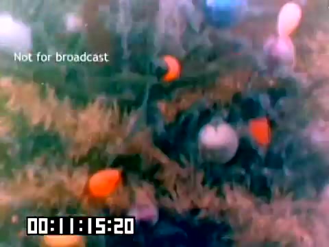 The still from the 16mm silent Kodak sales film features a visually vibrant scene with various colorful balloons floating above a grassy area. The shot is likely designed to evoke a sense of joy and playfulness, typical of promotional material aimed at showcasing photography's potential in capturing special moments. The text 'Not for broadcast' indicates that it's intended for internal or limited distribution only. A timecode appears in the lower left corner, marking the duration of the clip.