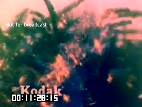 The still features colorful, abstract visual elements with a focus on vibrant colors and dynamic shapes, likely showcasing the capabilities of Kodak film. The backdrop hints at a lively scene, possibly related to nature or festive activities. Prominently displayed is the 'Kodak' logo, emphasizing the brand's identity. The timestamp indicates the segment of the film, reinforcing that this is a non-broadcast promotional piece from 1977.