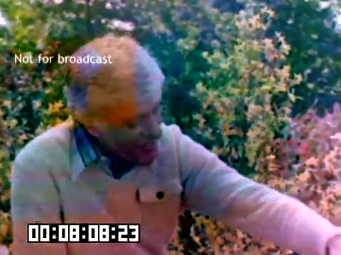 The still from the 1977 Kodak sales film shows a man with light hair, dressed in a light sweater, engaging with something off-screen. He appears to be in a natural setting, surrounded by vibrant, colorful foliage. The image has a slight color distortion, which is common in older films. A timestamp is visible at the bottom, indicating the film's duration, and there's a watermark that reads 'Not for broadcast.'