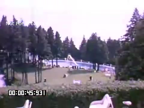 The still from 'In And Around Battle Creek Michigan' features a vibrant outdoor scene likely set in a recreational area. In the foreground, there are white lounge chairs and a neatly trimmed hedge. The background is dominated by lush green trees, indicating a natural and inviting environment. A swimming pool, complete with slides, is visible, suggesting a family-friendly atmosphere. The Kodachrome film grain adds a nostalgic quality to the image, enhancing its visual appeal. Overall, the image captures a sunlit moment of leisure and fun.