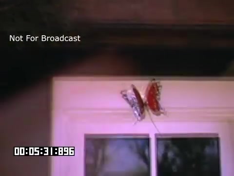 The still captures a close-up of two butterflies displayed on a door, showcasing their vibrant colors. The image is part of the Kodachrome footage from 'In And Around Battle Creek Michigan,' emphasizing vivid imagery characteristic of this film type. The timestamp indicates it's a moment within the footage, and it's marked with a non-broadcast disclaimer. The aesthetic draws attention to the natural beauty of the butterflies against the backdrop of a simple door.