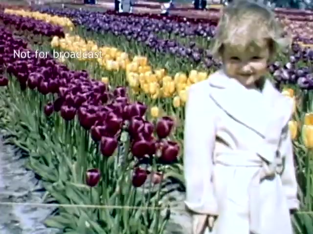 The still features a young child smiling in a light-colored coat, standing among vibrant rows of tulips in Holland, Michigan. The scene showcases a colorful array of purple and yellow tulips, typical of the Tulip Festival in the late 1940s, with a festive atmosphere evident in the background.