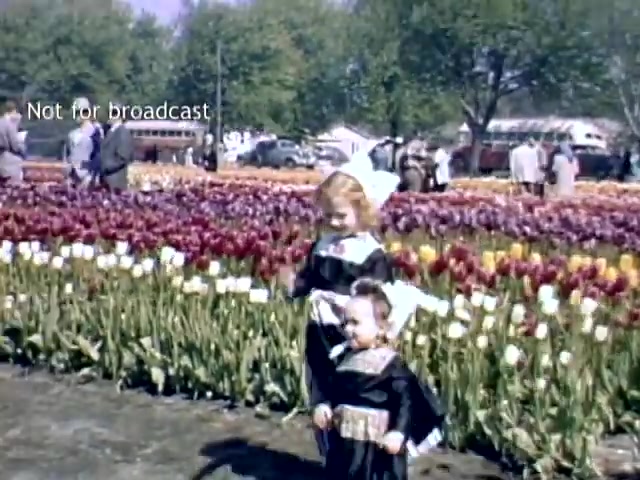 The still captures two young girls standing amidst a vibrant field of tulips during the Holland, Michigan Tulip Festival in the late 1940s. The older girl has curly hair and is dressed in traditional Dutch attire, while the younger one wears a similar outfit. In the background, festival attendees wander among the colorful flowers, and several trees line the scene, adding to the springtime atmosphere. The image conveys a joyful celebration of culture and nature.