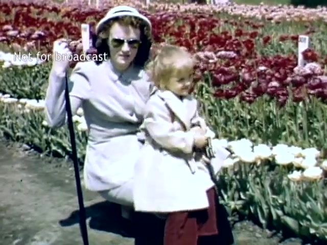 The still captures a woman and a young child posing in a vibrant tulip garden during the late 1940s in Holland, Michigan. The woman is stylishly dressed in a light coat and hat, wearing sunglasses, while the child, in a light coat, stands beside her. The backdrop features colorful tulip flowers in bloom, highlighting the festive atmosphere of the Tulip Festival.