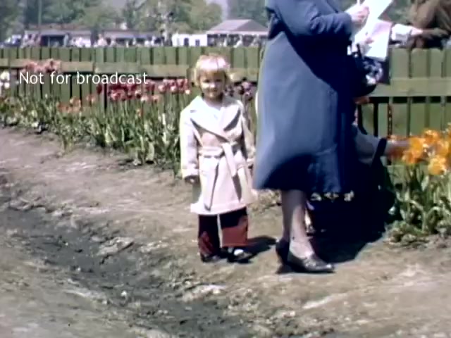 The still features a young child in a light-colored coat standing on a path surrounded by vibrant tulips during the Holland, Michigan Tulip Festival in the late 1940s. A woman in a blue coat is nearby, engaged in conversation, while additional festival activities can be seen in the background. The scene conveys a cheerful, springtime atmosphere typical of the festival.