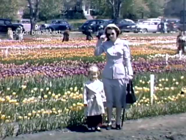 The still features a mother and daughter standing together in a vibrant field of tulips during the late 1940s Holland Michigan Tulip Festival. The mother is dressed in a light-colored suit and a hat, while the child wears a lighter outfit. Behind them, a variety of tulips in multiple colors create a picturesque backdrop, and vintage cars are visible in the background. The scene captures a cheerful, family-oriented atmosphere characteristic of spring festivals.