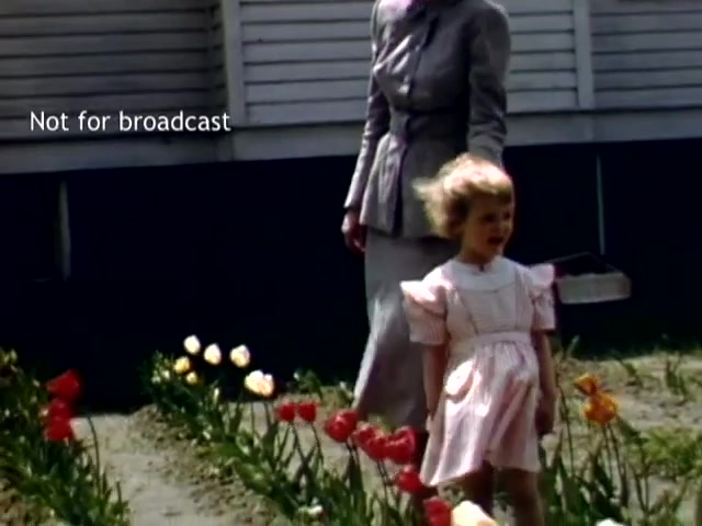 The still captures a scene from the late 1940s Holland Michigan Tulip Festival. It features a woman in a vintage suit standing beside a young girl wearing a light pink dress. They are surrounded by blooming tulips of various colors, symbolizing the festival's celebration of spring. The background suggests a modest building, enhancing the nostalgic feel of the era. The overlay notes that the footage is not intended for broadcast.