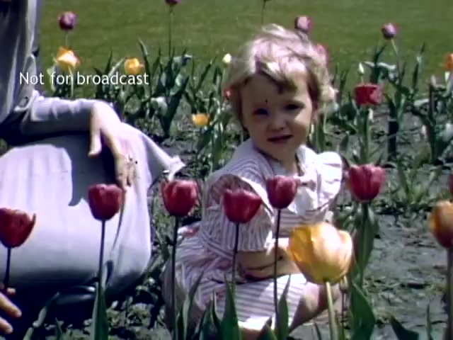 The still captures a cheerful young girl sitting amidst colorful tulips during the Holland Michigan Tulip Festival in the late 1940s. She is smiling at the camera, wearing a striped dress, while an adult's hand is gently reaching out from the side. The scene is vibrant, showcasing various tulip colors, creating a joyful and picturesque atmosphere typical of the festival.