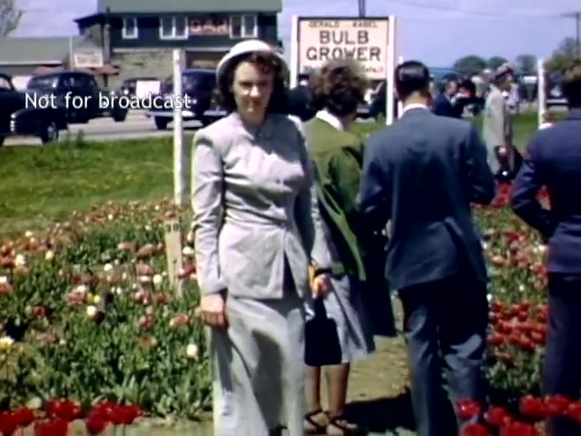 The still depicts a scene from the late 1940s Holland, Michigan Tulip Festival. In the foreground, a woman dressed in a light gray suit and hat stands among colorful tulips, while others are visible in the background, interacting and observing the flower display. A sign reading 'BULB GROWER' can be seen nearby, hinting at the festival’s focus on tulip cultivation. The overall atmosphere suggests a festive and vibrant celebration of spring.