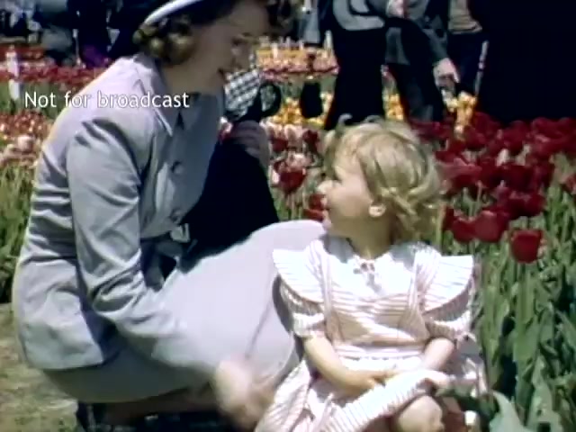 The still captures a moment from the late 1940s at the Holland, Michigan Tulip Festival. It shows a woman in a gray dress and hat, smiling and interacting with a young girl in a striped dress. They sit in a vibrant field of tulips, with numerous festival-goers in the background, highlighting the event's festive atmosphere. The scene conveys warmth and familial connection amidst the colorful blooms.
