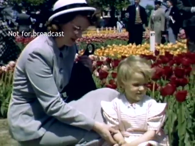 The still captures a scene from the Holland Michigan Tulip Festival in the late 1940s. A woman in a stylish gray outfit and a wide-brimmed hat sits beside a young girl, who is wearing a light striped dress. They are surrounded by vibrant tulips in various colors, creating a picturesque and cheerful atmosphere. In the background, people can be seen enjoying the festivities.