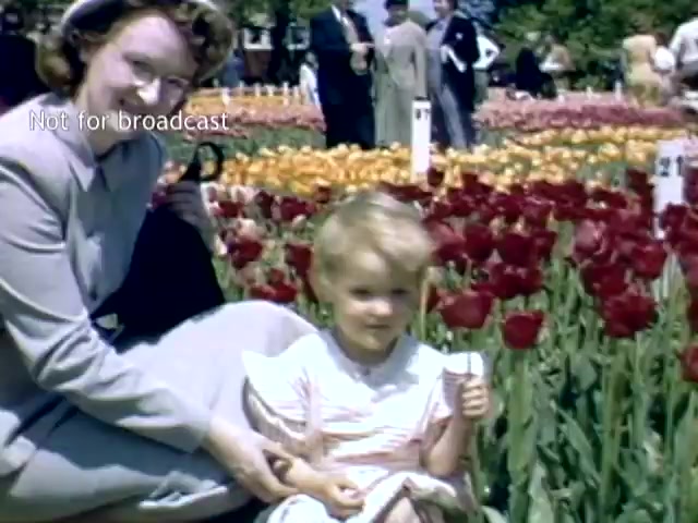 The still captures a warm moment from the late 1940s at the Holland, Michigan Tulip Festival. A smiling woman in a stylish gray outfit is kneeling beside a young girl in a white dress, who is playfully gesturing with her hand. They are surrounded by vibrant tulips in various colors, creating a cheerful, festive atmosphere, while other visitors can be seen in the background, enjoying the event.