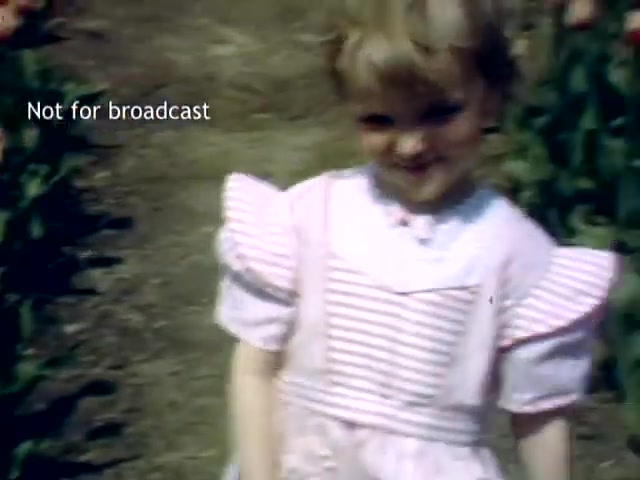 The still shows a young girl with a cheerful expression, wearing a pink and white striped dress, standing amidst vibrant tulips. The image captures a moment from the Holland Michigan Tulip Festival in the late 1940s, showcasing the festival's festive atmosphere and the beauty of the blooming flowers. The text overlay notes that the footage is 'Not for broadcast.'