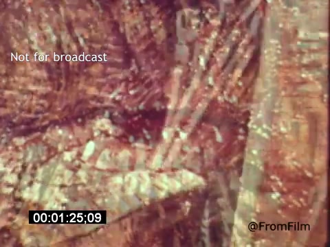 The still from 'Vincent Van Gogh: A Self-Portrait' (1961) features an abstract representation of Van Gogh's brushwork, characterized by vibrant colors and textured patterns. The film, narrated by Lee J. Cobb, emphasizes the emotional depth and complexity of Van Gogh's art, showcasing both his creative process and personal struggles. The image likely captures the essence of Van Gogh’s style, blending visual artistry with biographical narrative.