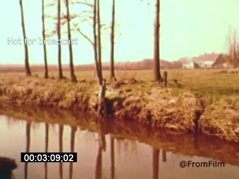 The still from 'Vincent Van Gogh: A Self-Portrait' (1961) captures a serene landscape featuring a calm waterway lined with bare trees. The earthy colors suggest a tranquil rural scene, reflecting the natural beauty that influenced Van Gogh's work. In the background, a farmhouse can be seen, enhancing the pastoral ambiance. The overall mood conveys a sense of peaceful solitude, emblematic of Van Gogh's introspective nature.