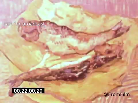 The 16mm still from 'Vincent Van Gogh: A Self-Portrait (1961)' features a close-up of two fish placed on a textured surface. The colors are vibrant, with earthy tones and a painterly quality reminiscent of Van Gogh's style. This moment likely emphasizes the artist's fascination with everyday subjects, capturing both the beauty and simplicity of life. Lee J. Cobb's narration adds depth to the interpretation of Van Gogh's artistic vision.
