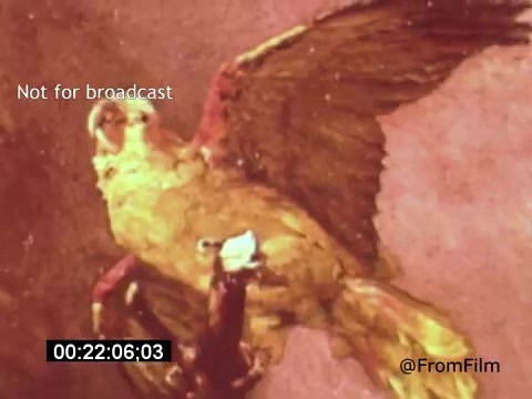 The still from 'Vincent Van Gogh: A Self-Portrait (1961)' features a vibrant depiction of a bird in flight, showcasing the dynamic brushwork and bold colors characteristic of Van Gogh's style. The image captures a moment of movement and energy, reflecting themes of nature and expression. The film, narrated by Lee J. Cobb, explores Van Gogh's life and artistry.