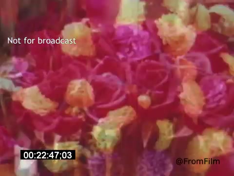 The 16mm still from 'Vincent Van Gogh: A Self-Portrait' (1961) showcases a vibrant, abstract representation of flowers, predominantly in shades of pink, purple, and yellow. The floral composition conveys a rich emotional depth, likely reflecting Van Gogh's connection to nature and color. The timestamp suggests a mid-point in the film, inviting viewers to explore the artistic journey of Van Gogh, performed by Lee J. Cobb. This scene emphasizes the emotional and aesthetic themes central to Van Gogh's art.