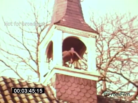 The still from 'Vincent Van Gogh: A Self-Portrait' (1961) features a bell tower with a distinctive architectural style. A figure is perched outside the bell chamber, framed against the backdrop of tree branches. The color palette is soft and warm, evoking a nostalgic feel. The scene captures a moment of reflection, aligning with the artistic themes of Van Gogh's life.