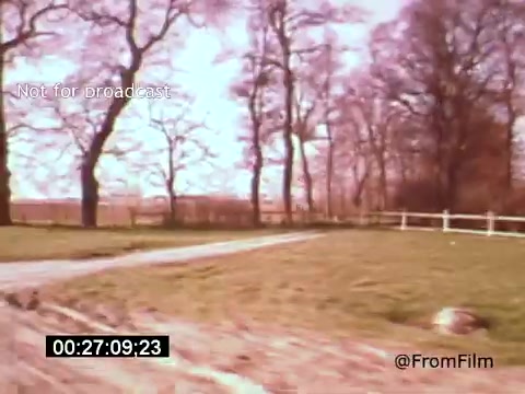 The still from 'Vincent Van Gogh: A Self-Portrait' (1961) depicts a serene landscape featuring a tree-lined path winding through a grassy area. The colors are warm and soft, suggesting a nostalgic, perhaps impressionistic atmosphere. The scene reflects the rural environment often associated with Van Gogh's life and work, capturing a moment of tranquility in nature.