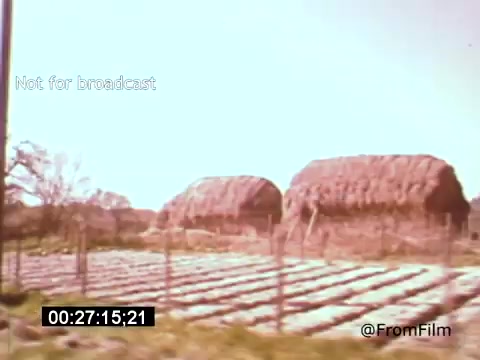 The still from 'Vincent Van Gogh: A Self-Portrait' (1961) features a serene landscape with two haystacks amidst cultivated fields. The color palette is soft and muted, capturing a timeless rural aesthetic. The scene suggests a connection to Van Gogh's themes of nature and agricultural life, resonating with his love for the countryside. This contemplative moment aligns with the film's exploration of the artist's life and work, narrated by Lee J. Cobb.