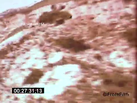 The still from 'Vincent Van Gogh: A Self-Portrait' (1961) presents a visually rich, textured scene, likely depicting elements from Van Gogh's artistic world. The use of warm, earthy tones creates a dreamlike quality, which could reflect the emotional depth of Van Gogh's life and work. Given the film's connection to the renowned actor Lee J. Cobb, the scene may evoke introspection or emotional resonance, characteristic of Van Gogh’s own art. The timestamp suggests this moment is part of a larger narrative exploring Van Gogh's psyche and artistic journey.