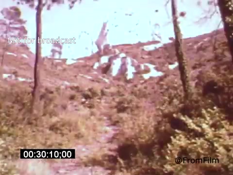 The still from *Vincent Van Gogh: A Self-Portrait (1961)* features a natural landscape, showcasing a path leading through lush vegetation towards rocky terrain. The color palette appears muted, lending a nostalgic and reflective quality to the scene. This moment may evoke Van Gogh's connection to nature and its influence on his artistry. The film is narrated by Lee J. Cobb, emphasizing Van Gogh's profound experiences and struggles.
