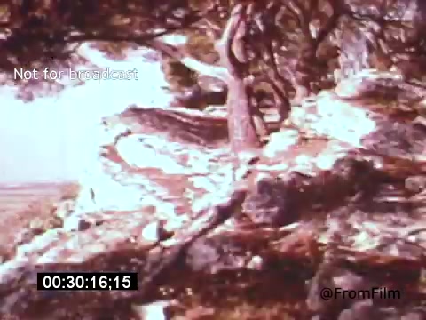 The still from 'Vincent Van Gogh: A Self-Portrait' (1961) likely depicts a vibrant landscape scene, characteristic of Van Gogh's style. The colors are intense and may feature swirling forms, suggesting movement and emotion. This visual style reflects Van Gogh's connection to nature and his unique artistic expression. The narrative is likely supported by Lee J. Cobb's voiceover, adding depth to the portrayal of the artist's life and work.