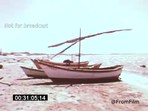 The still from 'Vincent Van Gogh: A Self-Portrait' (1961) features a serene coastal scene with several boats anchored on a sandy shore. The image has a soft color palette, giving it a dreamlike quality, and there's a gentle emphasis on the natural landscape. This visual style complements the reflective nature of the documentary, exploring Van Gogh's life and art.