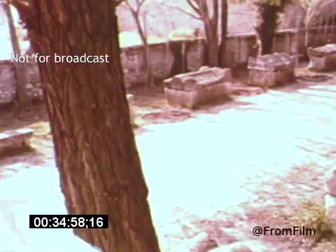 The still from 'Vincent Van Gogh: A Self-Portrait' (1961) captures a tranquil outdoor scene, likely reflecting a contemplative moment in the film. Dominating the foreground is a large tree, its trunk prominent and textured. In the background, a stone wall encloses what appears to be a historic cemetery with visible graves, enhancing the somber atmosphere. The lighting suggests a soft, natural ambience, inviting viewers to reflect on Van Gogh's life and artistic legacy. The presence of Lee J. Cobb adds gravitas to the portrayal of this iconic artist.