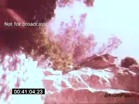 The still from 'Vincent Van Gogh: A Self-Portrait' (1961) features a vibrant, impressionistic depiction, likely capturing elements of nature, such as trees and rocks. The colors are warm and somewhat abstract, evoking Van Gogh's signature style. The film, narrated by Lee J. Cobb, emphasizes the emotional depth and artistic journey of Van Gogh, possibly reflecting his unique vision of the world. The frame also includes a 'Not for broadcast' watermark, indicating it's intended for private viewing.