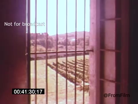 The still from 'Vincent Van Gogh: A Self-Portrait' (1961) depicts a barred window looking out onto a vibrant landscape featuring rows of greenery, likely vineyards. The scene is illuminated with soft, natural light, creating a serene yet contemplative atmosphere. This moment captures a connection to the outside world, reminiscent of Van Gogh's own struggles and reflections. Lee J. Cobb's narration enhances the emotional depth of this visual.