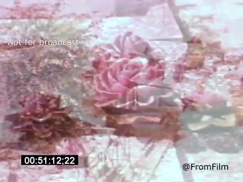 The still from 'Vincent Van Gogh: A Self-Portrait' (1961) features an artistic visualization, likely capturing elements reminiscent of Van Gogh's style. It includes vivid colors and floral motifs, possibly evoking the emotional intensity of his work. The use of layered textures suggests a dreamy, impressionistic effect that may reflect the artist's internal struggles. This film, narrated by Lee J. Cobb, aims to explore Van Gogh's life and artistry.