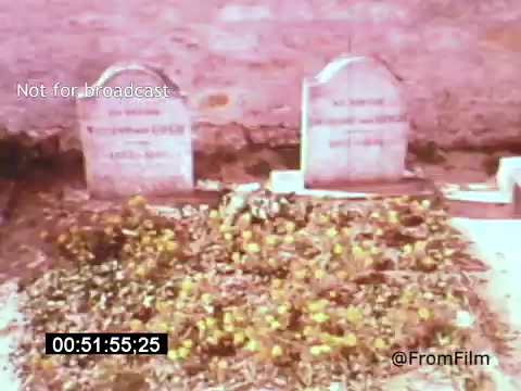 The 16mm still from *Vincent Van Gogh: A Self-Portrait (1961)* shows a graveyard scene featuring two headstones, likely marking the resting places of Vincent Van Gogh and his brother, Theo. The surrounding area is overgrown with flowers, suggesting a serene yet somber atmosphere. The film, narrated by Lee J. Cobb, explores Van Gogh's life and legacy through vivid imagery and poignant reflections.