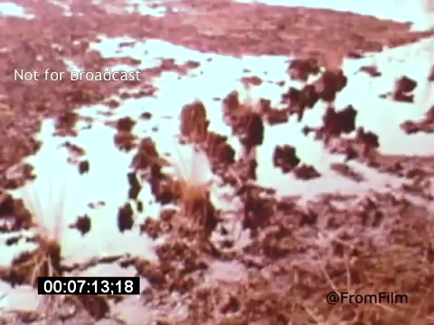 The still from 'Vincent Van Gogh: A Self-Portrait' (1961) features a muddy landscape with patches of water reflecting light. The scene conveys a natural, somewhat somber atmosphere, aligning with Van Gogh's contemplative nature. The film, narrated by Lee J. Cobb, explores the artist's life and work, offering insights into his struggles and artistic vision.