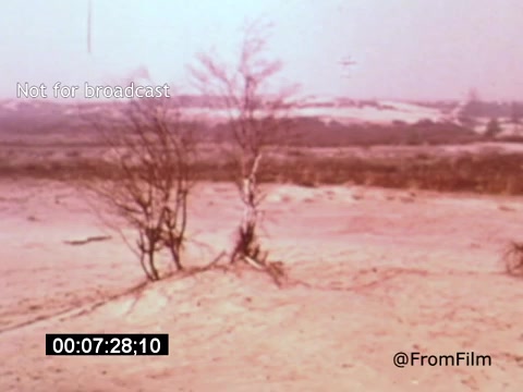 The 16mm still from 'Vincent Van Gogh: A Self-Portrait' (1961) features a barren landscape dominated by sparse vegetation, with a couple of bare trees standing amidst a muted, sandy terrain. The color palette appears soft and slightly desaturated, evoking a dreamlike quality. This visual backdrop emphasizes themes of isolation and introspection, complementing the film's exploration of Van Gogh's life and artistry. The still captures a moment of stillness and reflection, inviting viewers to consider the emotional depth of the artist's experiences.